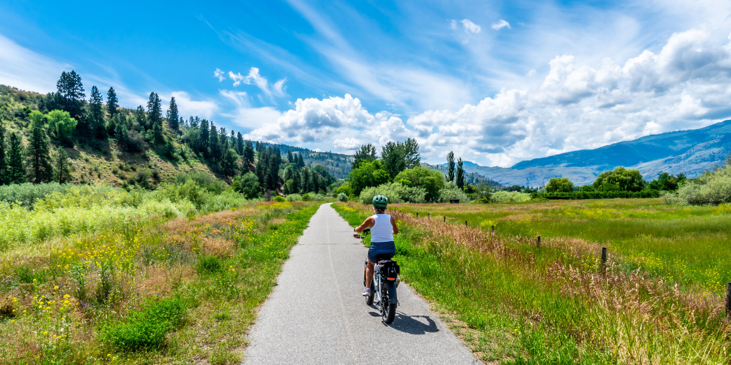 Person, wird in Rückenansicht gezeigt, wie sie mit einem E-Bike einen Weg in der Natur entlangfährt