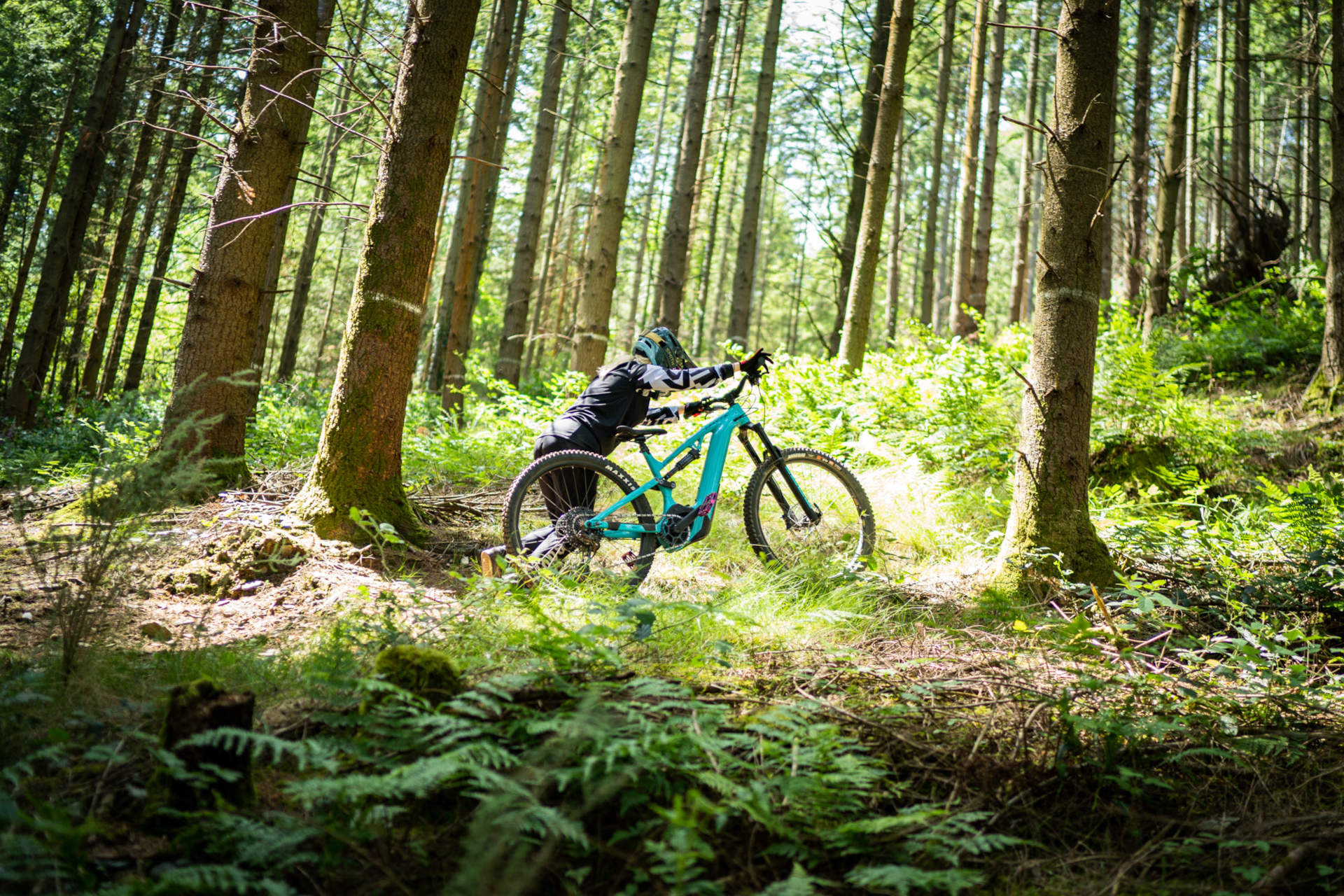 E-Mountainbike von WHYTE Bikes