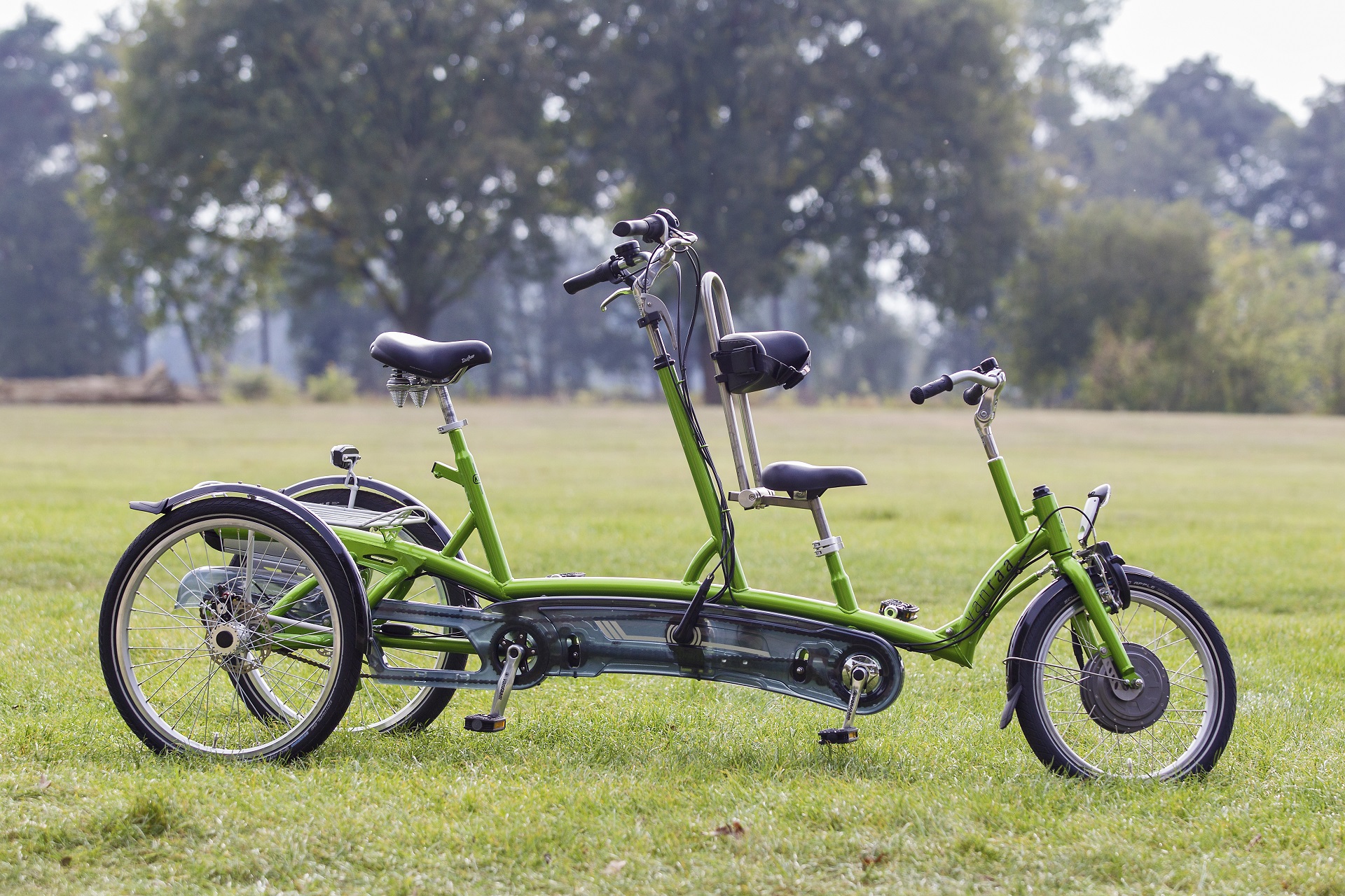 Ein Eltern-Kind-Tandem steht auf einer Wiese.