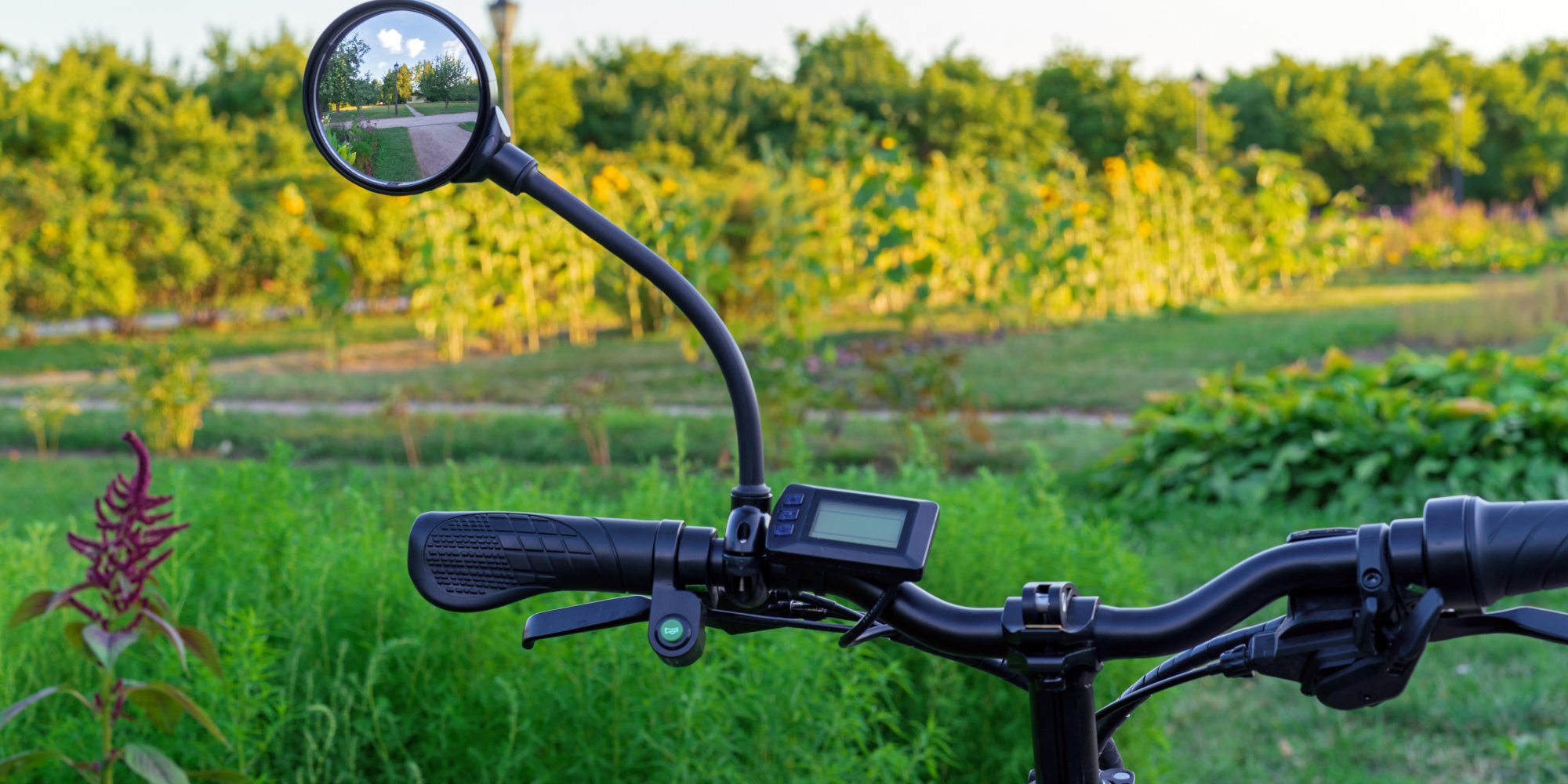 Fahrrad mit Fahrradrückspiegel in der Natur