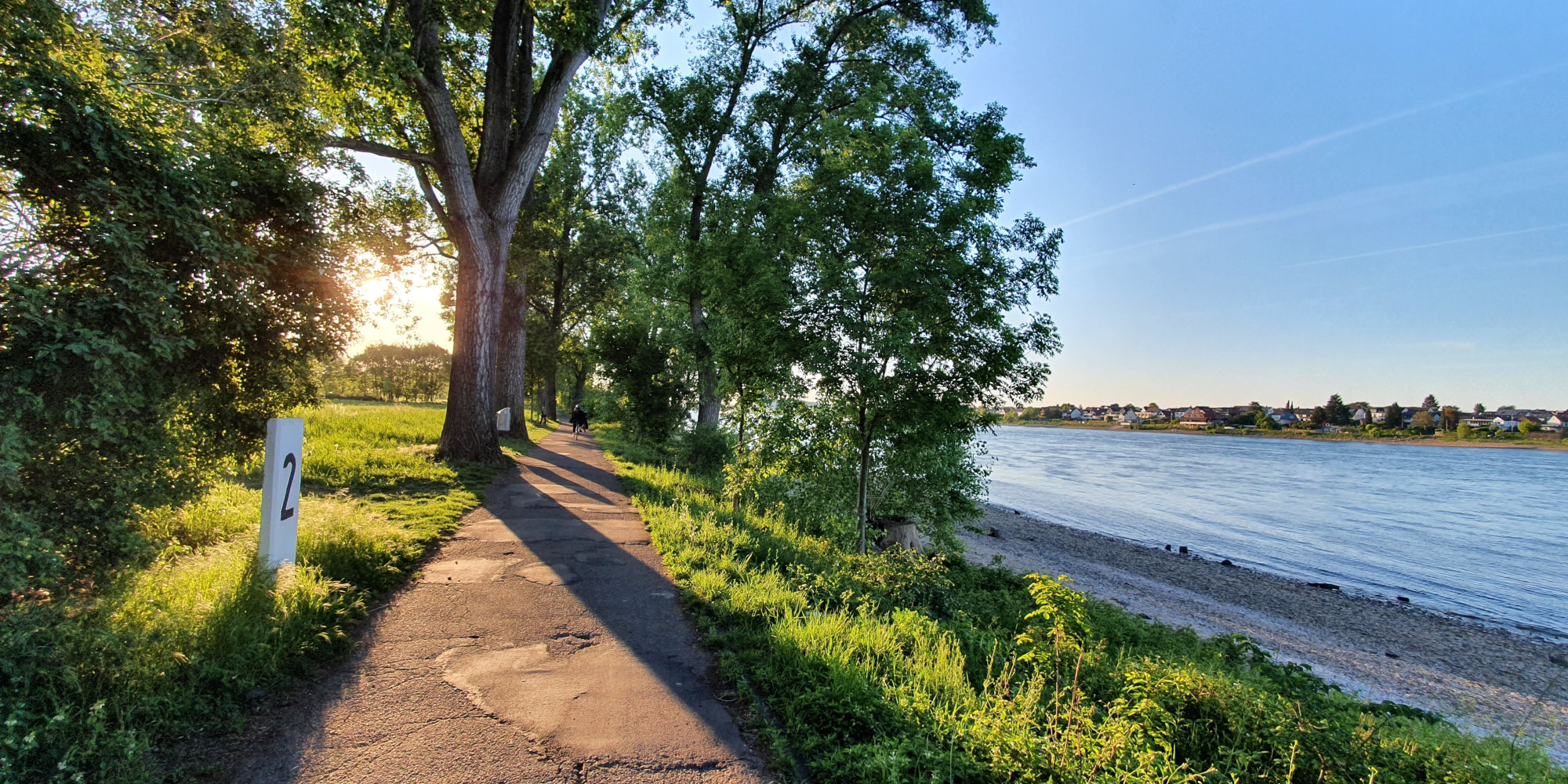 Radweg am Rhein 