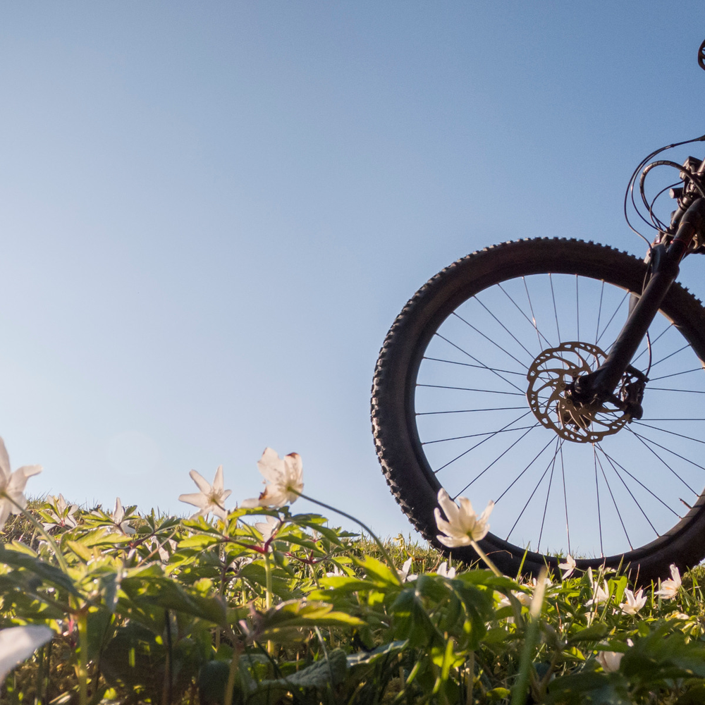 Frau fährt über eine Wiese mit einem E-Bike