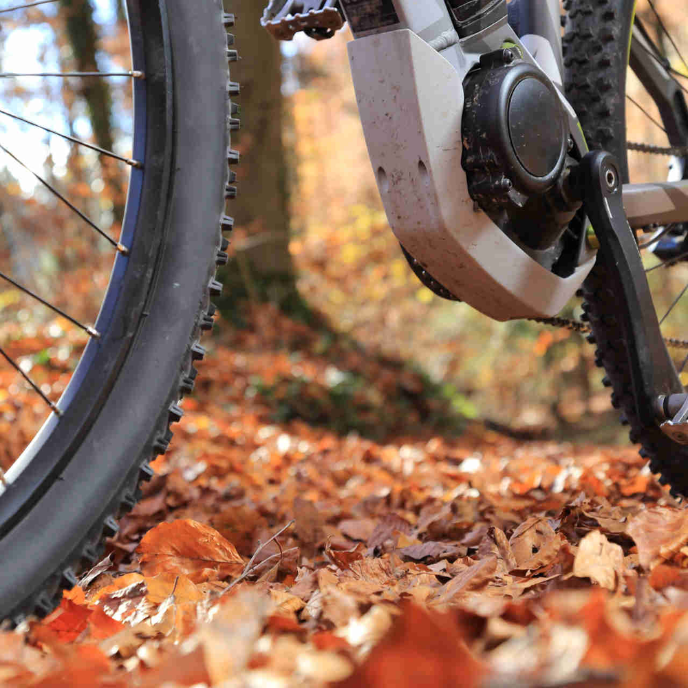 E-Mountainbike fährt auf nassem Waldboden