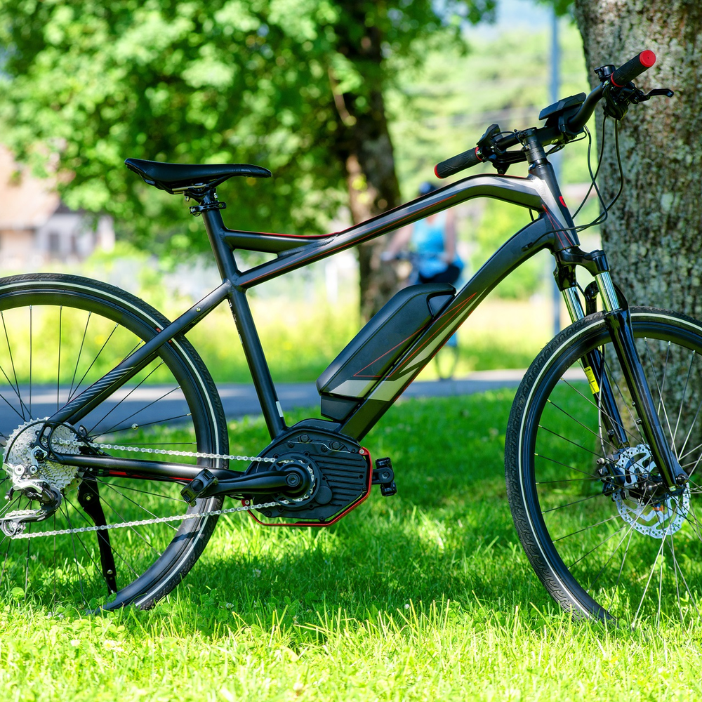 Zu verkaufendes E-Bike steht auf Grünfläche vor Baum.