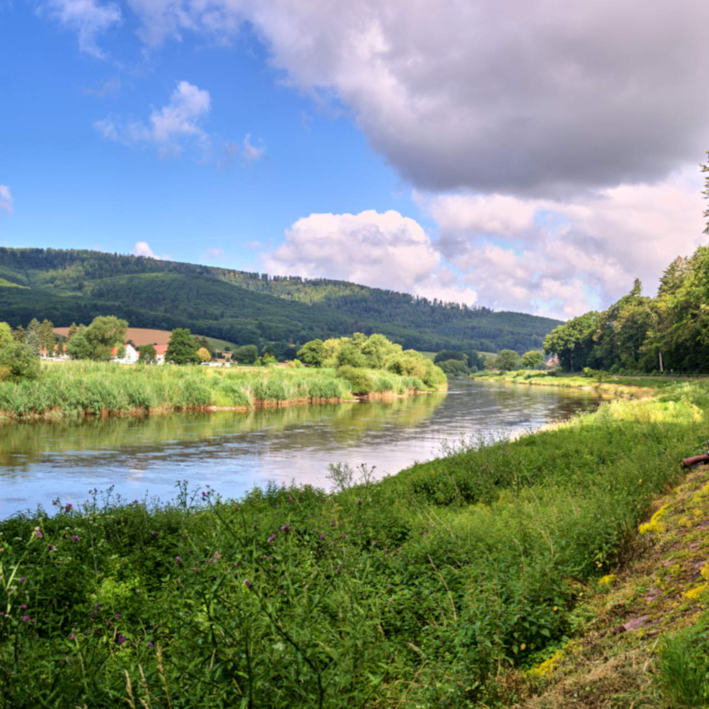 Ein Fahrrad angelehnt an einem Radweg in der Natur