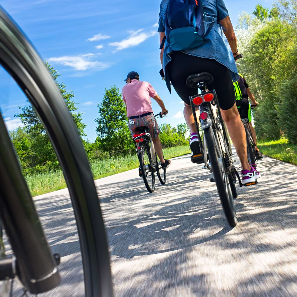 Fünf Personen machen eine Fahrradtour bei gutem Sommerwetter. 