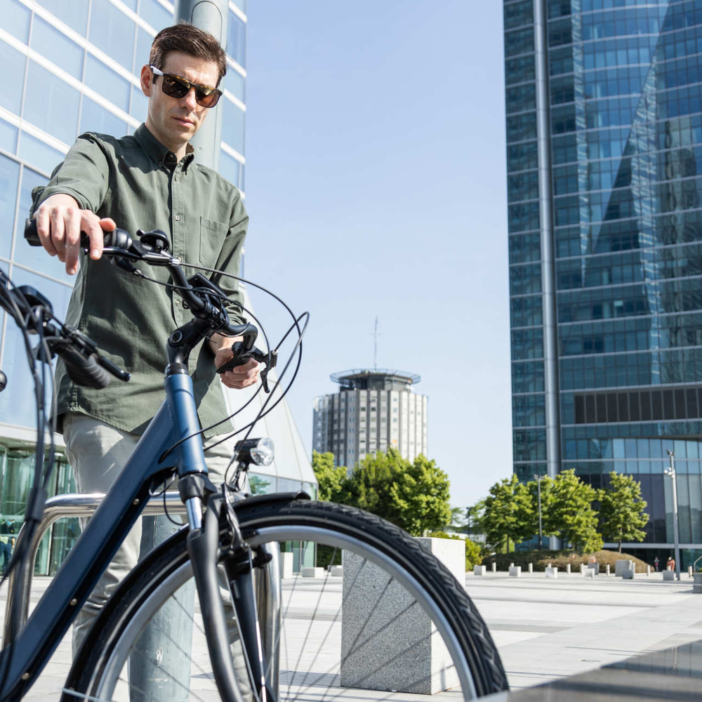 Flyer Gotour6 3.40: Der Testsieger unter den City-E-Bikes