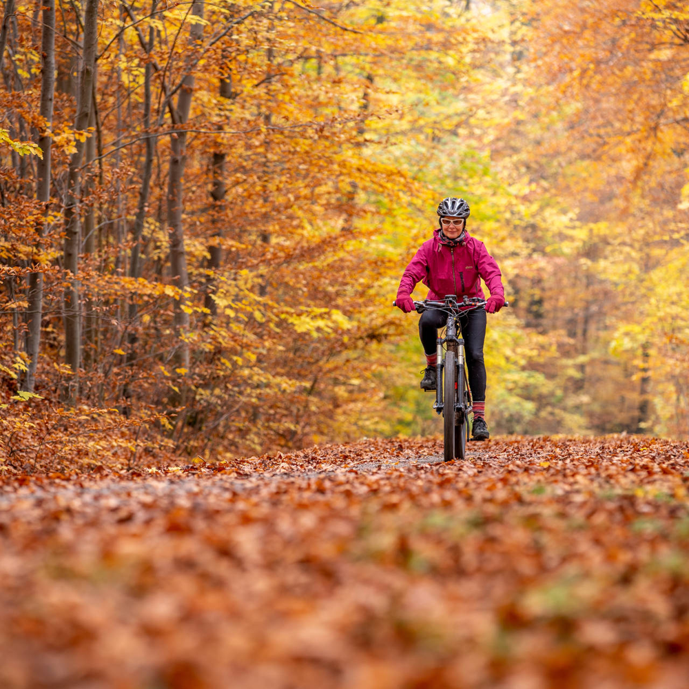 Person fährt im Herbst Fahrrad