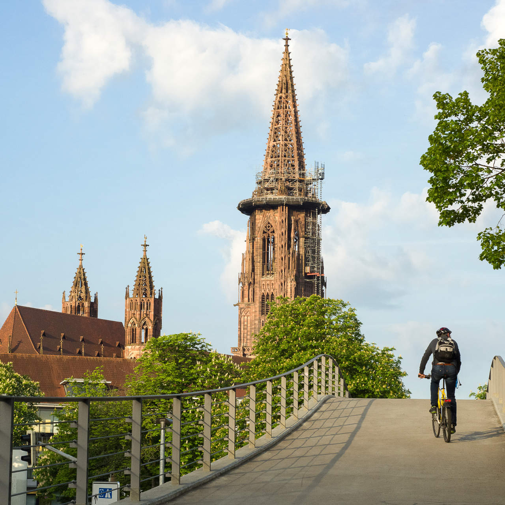 Ein Radfahrer fährt durch die Münster Landschaft 