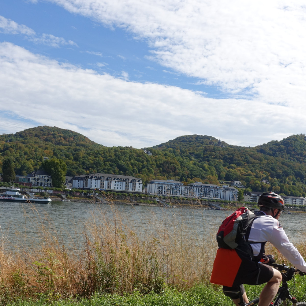 Radfahrer fahren am Rhein entlang auf Höhe des Drachenfelsens